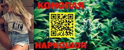мдпв Донецк