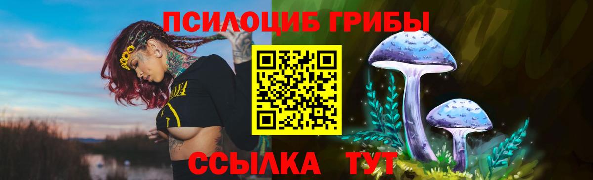 Псилоцибиновые грибы Magic Shrooms Курчалой